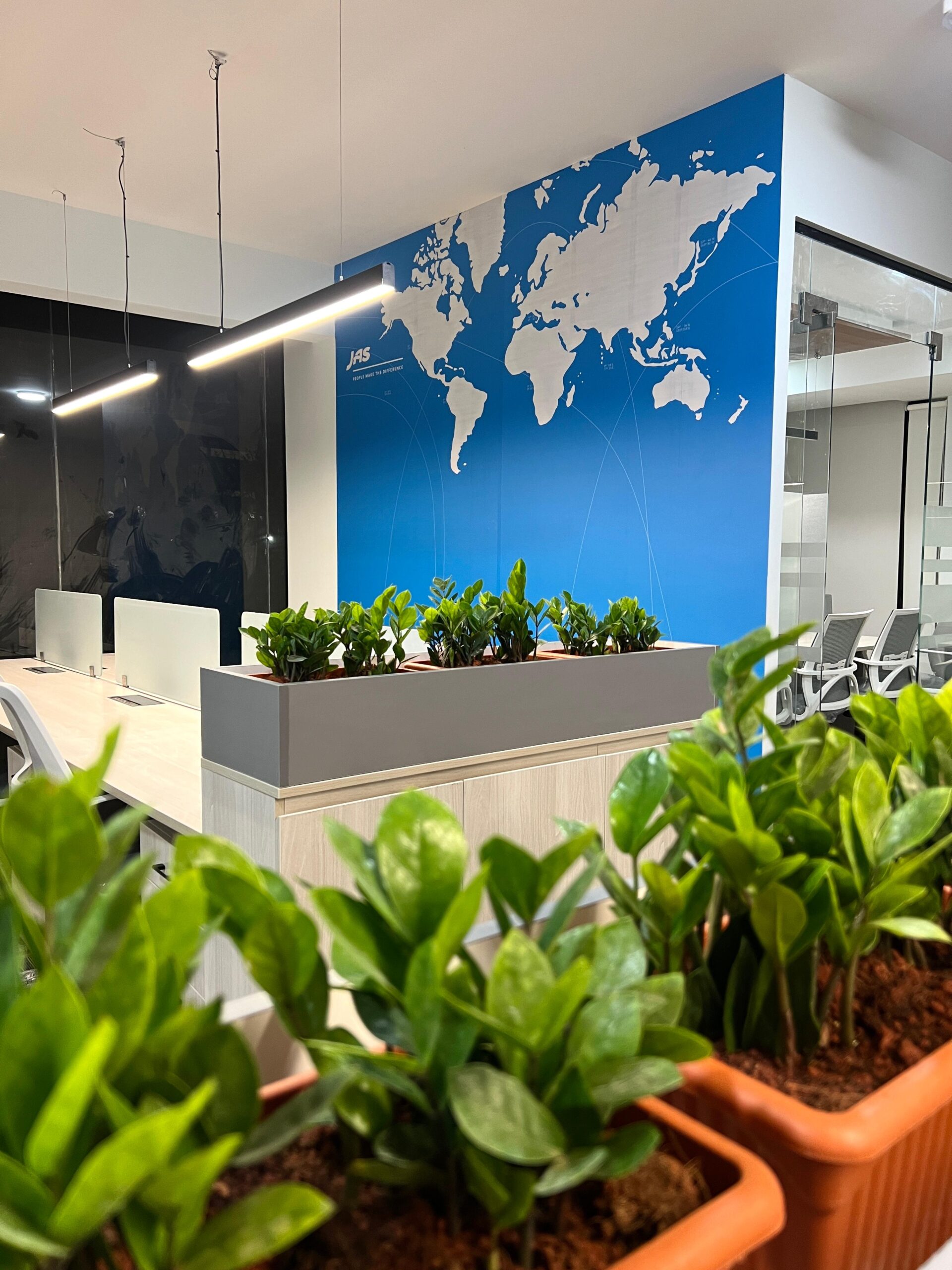 Open plan office with desking, a graphic feature wall and planted dividers